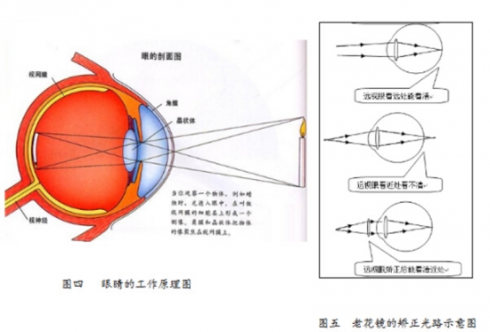 美麗島眼鏡：老花鏡不可隨意亂帶，需要在專業(yè)驗(yàn)光后科學(xué)配制