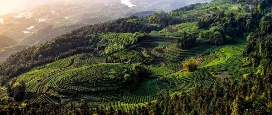 美麗島多焦鏡：這個(gè)明凈新春，以時(shí)間為軸，扶搖直上
